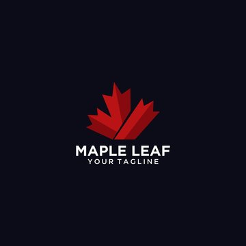 Canada red maple leaf logo design template Premium Vector