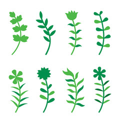 Set of Flower Flat Design Icon. Floral collection with leaves and flowers Vector illustration. 
