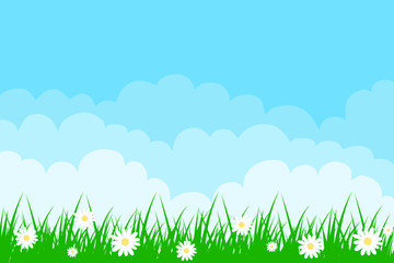 Fototapeta na wymiar Cloud background with grass and camomile.