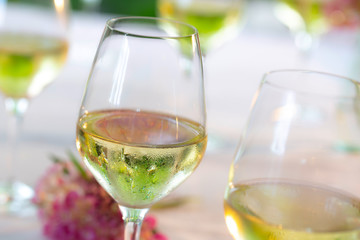 Weißwein Gläser