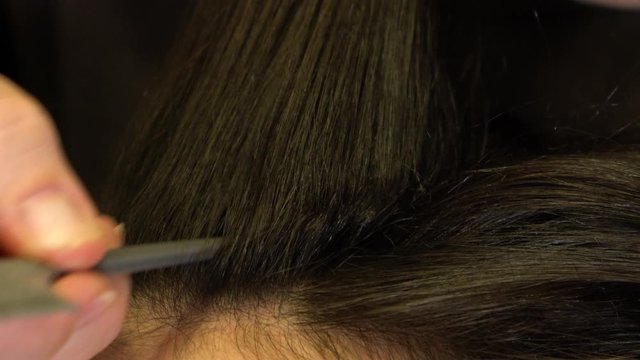 Stylist comb straightens hair strands of brunette girl