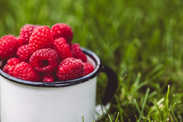 Raspberries in a cup on grass. Fall mood. Summer time. Copy space