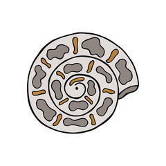 Hand drawn colorful sea shell isolated on a white background. Doodle, simple outline illustration. It can be used for decoration of textile, paper and other surfaces.