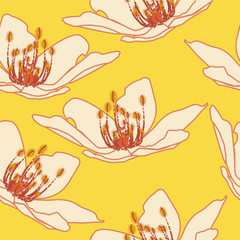 Anemone nemorosa, the wood anemone repeat pattern