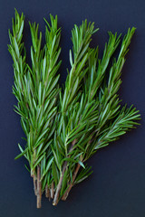 Fresh rosemary leaves on a dark background close up