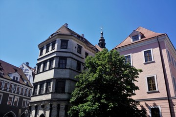 Fototapeta na wymiar Tree between two ancient houses in the old town of Gorlitz