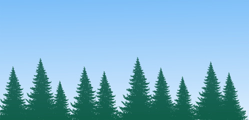 Forest silhouette on sky background. Spruce forest, pine trees in a row. Natural background with place for text. Vector illustration