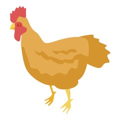 Golden rooster icon. Isometric of golden rooster vector icon for web design isolated on white background