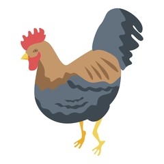 Domestic rooster icon. Isometric of domestic rooster vector icon for web design isolated on white background