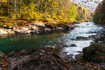 Clean mountain river in the autumn forest.