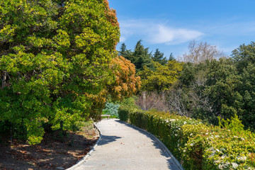 Image of a walkway in the spring park.