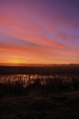 Fototapeta na wymiar Sunrise at a lake