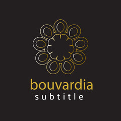 ornament logo gold and silver