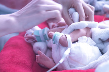 Newborn  in incubator ICU