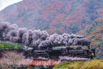 Fototapeta na wymiar 日本の鉄道、蒸気機関車、SL、Steam Locomotive