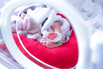 Fototapeta na wymiar Newborn in incubator ICU