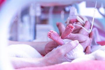 Newborn  in incubator ICU