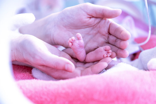 Newborn  in incubator ICU