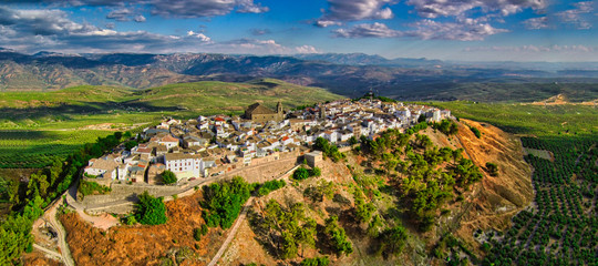Fototapeta na wymiar Aerial view of typical andalusian village at sunset. Spain. Drone Photo