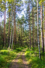 Road to the Urenga mountain range near Zyuratkul national Park. Chelyabinsk region, South Ural, Russia