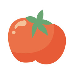 tomato fresh vegetable hand draw style