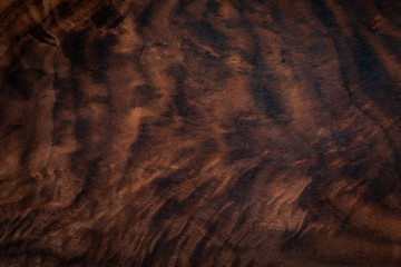 Walnut natural texture, texture elements, texture background.	wood texture background.