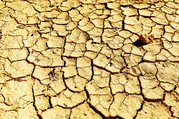 Cracked dry earth. Environmental problems.