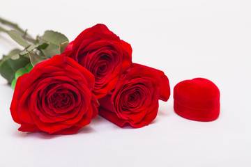 Three red roses on white background with box for jewelry with copy space. Greeting concept.