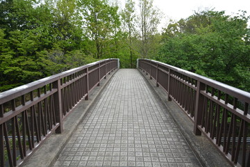 Obraz premium 公園の橋
