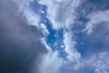 Fototapeta premium Облака, The clouds