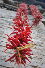  Traditional way of Drying of Red Chilies