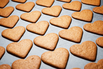 Ginger cookies view