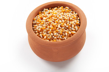 corn seeds in the plate
