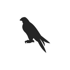 Falcon bird icon on white background