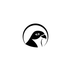 Falcon bird icon on white background