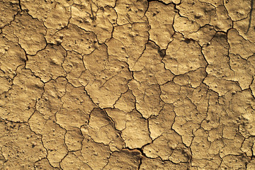Cracked surface ground texture dry land, background