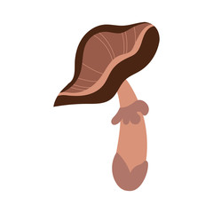 fungus plant amanite porphyria hand draw style