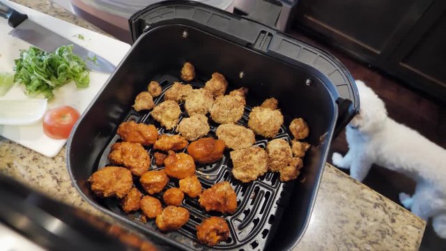 Home cooking cauliflower buffalo bites in air fryer, pet dog looks longingly at food, vegetarian