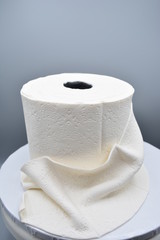 toilet paper shape cake