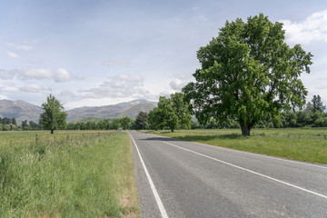 Fototapeta na wymiar landscape with straight road in green countryside, near Fairlie, New Zealand