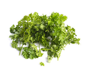 Fresh crop of parsley on a white background