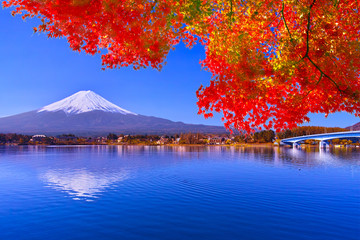 秋の河口湖から見る富士山と紅葉 Wall Mural Wallpaper Murals 7maru