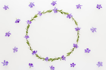 Minimal style photography. Green branch circle and flowers, natural creative composition top view background with copy space for your text. Flat lay.