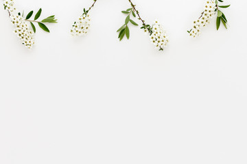 Minimal style photography. White flowers with green leaves, natural creative composition top view background with copy space for your text. Flat lay.