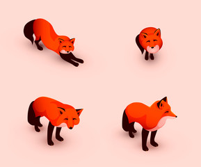Set of flat ginger foxes, cartoon vector illustration isolated. Funny and cute animal character design.