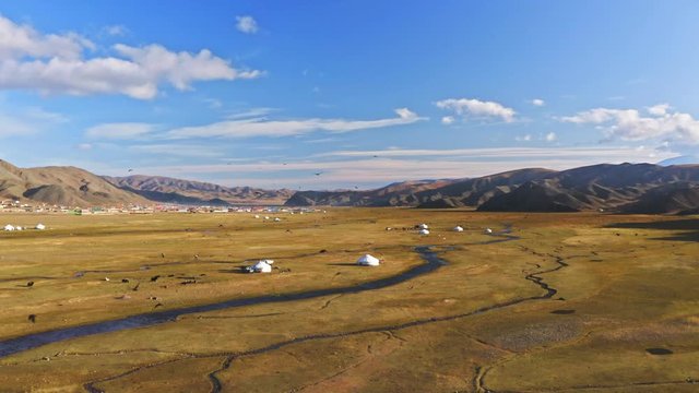 Ger tents in Mongolia Altai Mountains, flock of birds flying at camera aerial view