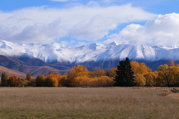 Beautiful nature near Twizel, New Zealand, Ohau Range, South Island