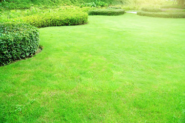 Jardin avec herbe verte fraîche à la fois arbuste et arrière-plan de pelouse de fleurs, aménagement paysager de jardin Pelouse lisse d& 39 herbe fraîche avec buisson de forme courbe dans les soins du jardin de la maison.