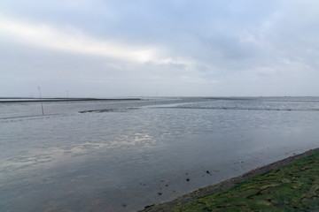 Obraz premium Ebbe im Wattenmeer, Husumer Au, Husum, Nordfriesland, Schleswig-Holstein, Deutschland, Europa