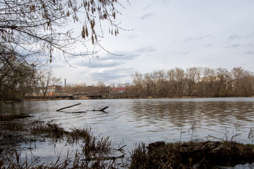 In early spring, on the banks of the river. Old trees along the shore, a branch in the water